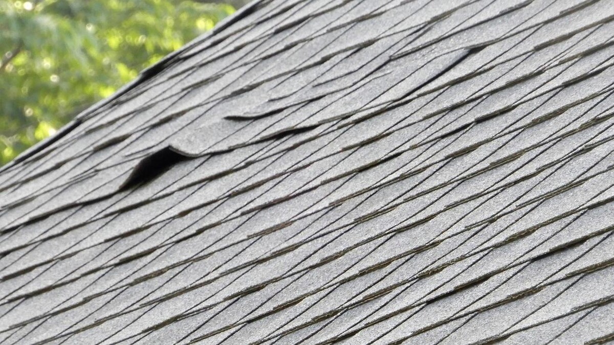 Images Adams & Sons Roofing