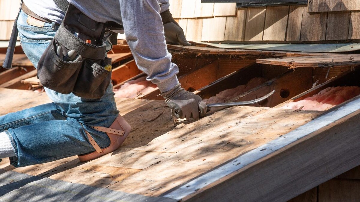 Images Adams & Sons Roofing