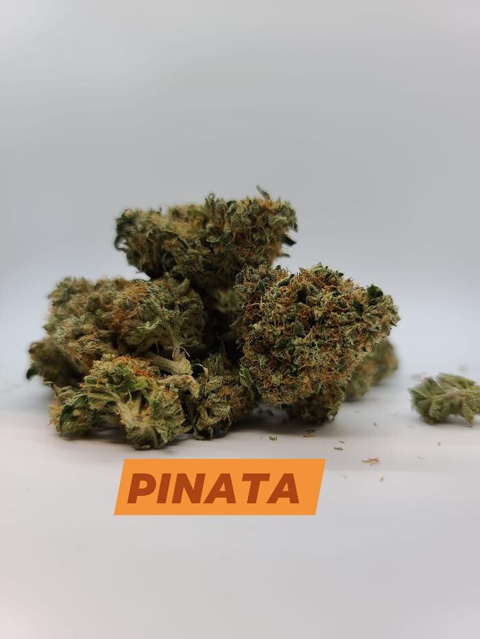 Images Sequoyah Cannabis Co