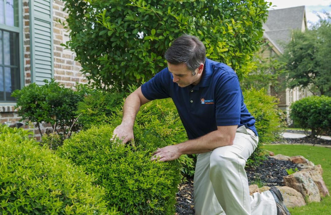 Images Berrett Pest Control