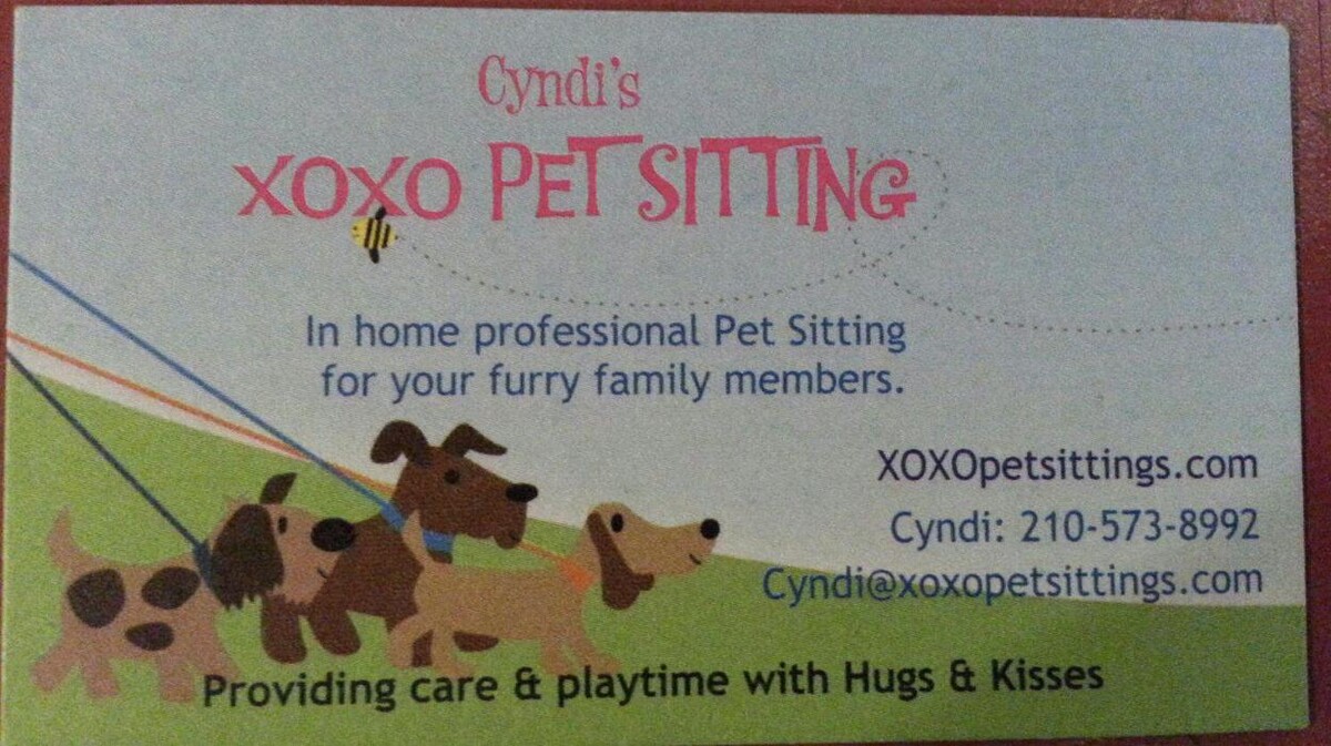 Images XoXo Doggy Hotel and Daycare