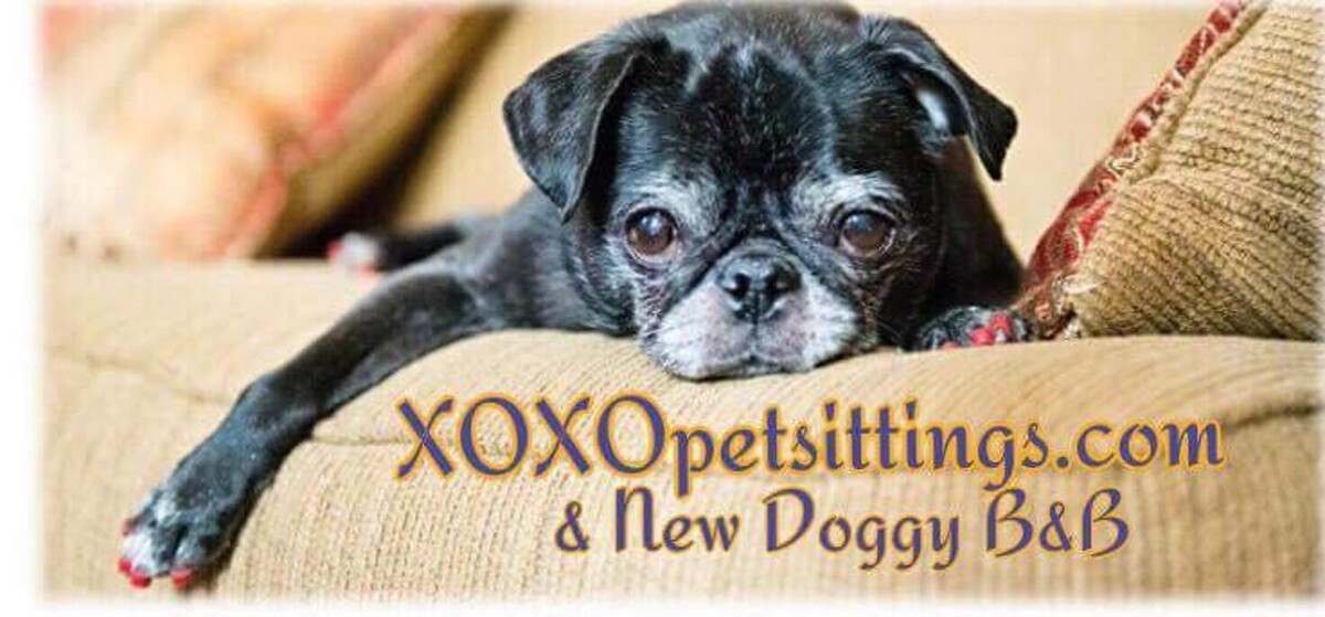 Images XoXo Doggy Hotel and Daycare