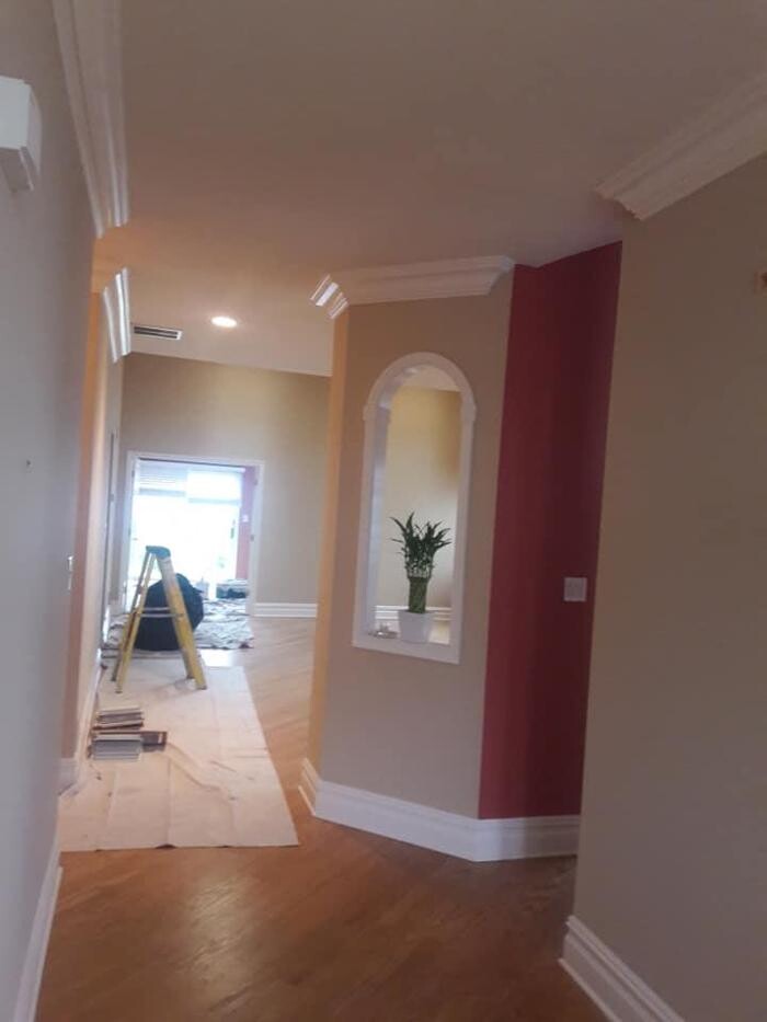 Images Miguel's Painting LLC
