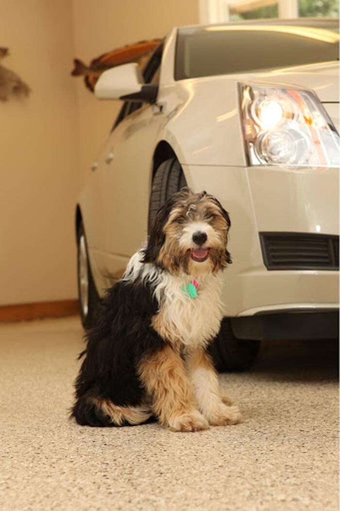 Images Croc Coatings, LLC