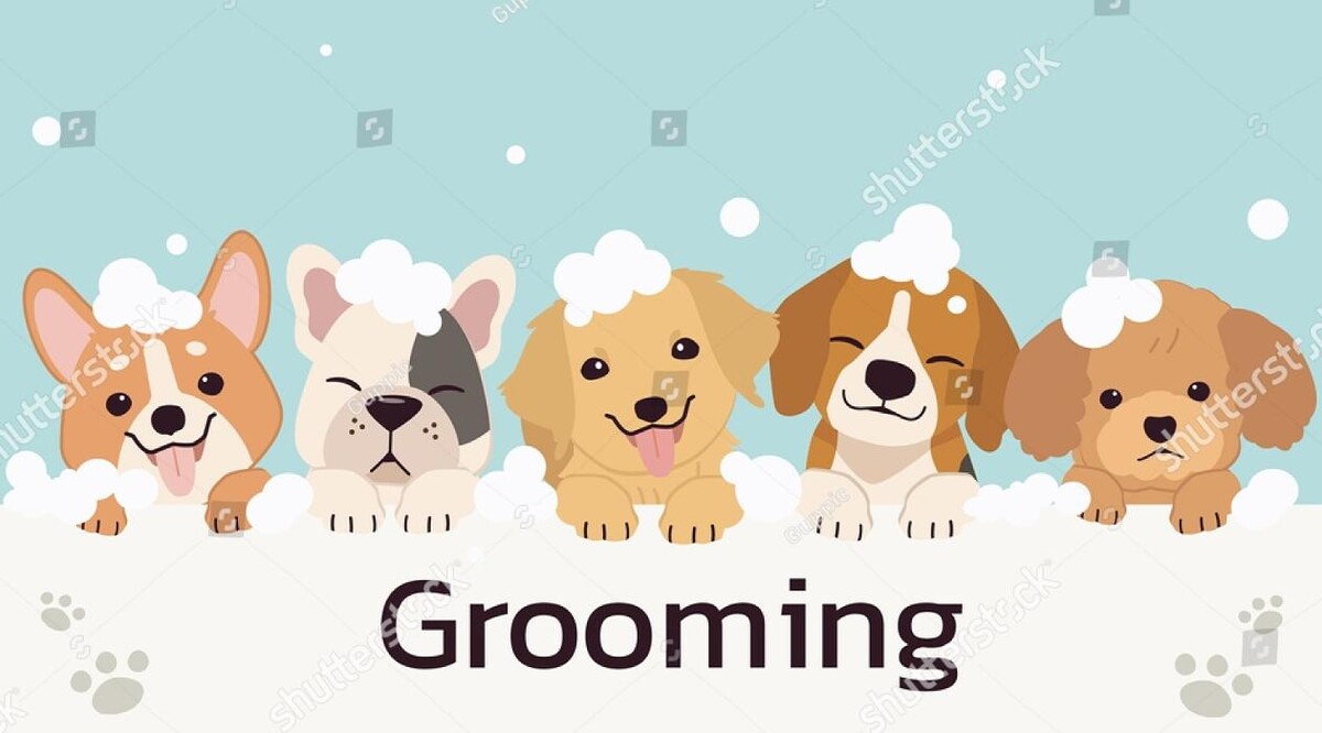 Images Petsense by Tractor Supply