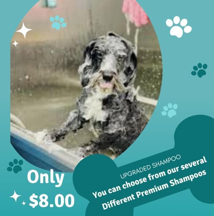 Images Petsense by Tractor Supply