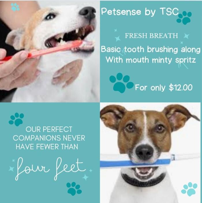 Images Petsense by Tractor Supply