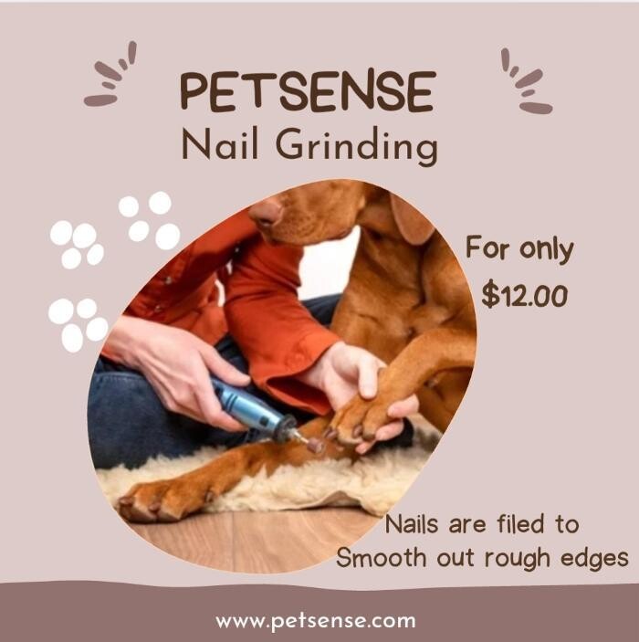 Images Petsense by Tractor Supply