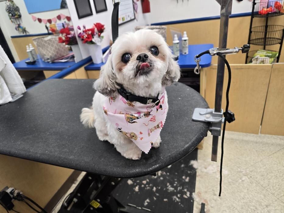 Images Petsense by Tractor Supply