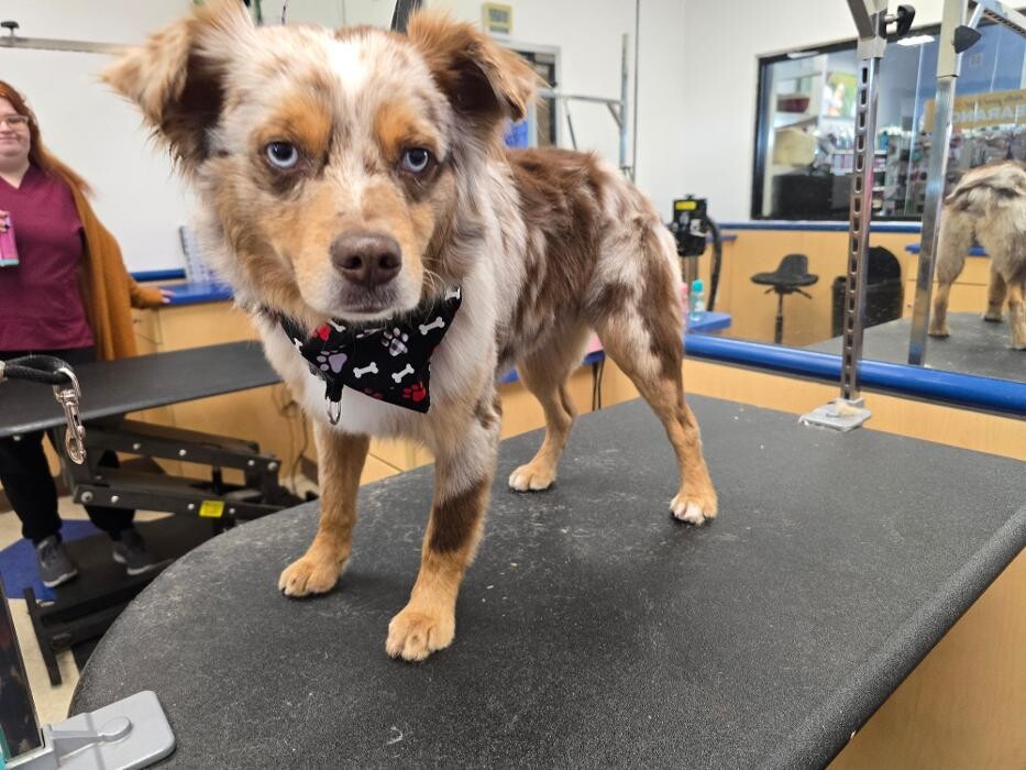 Images Petsense by Tractor Supply