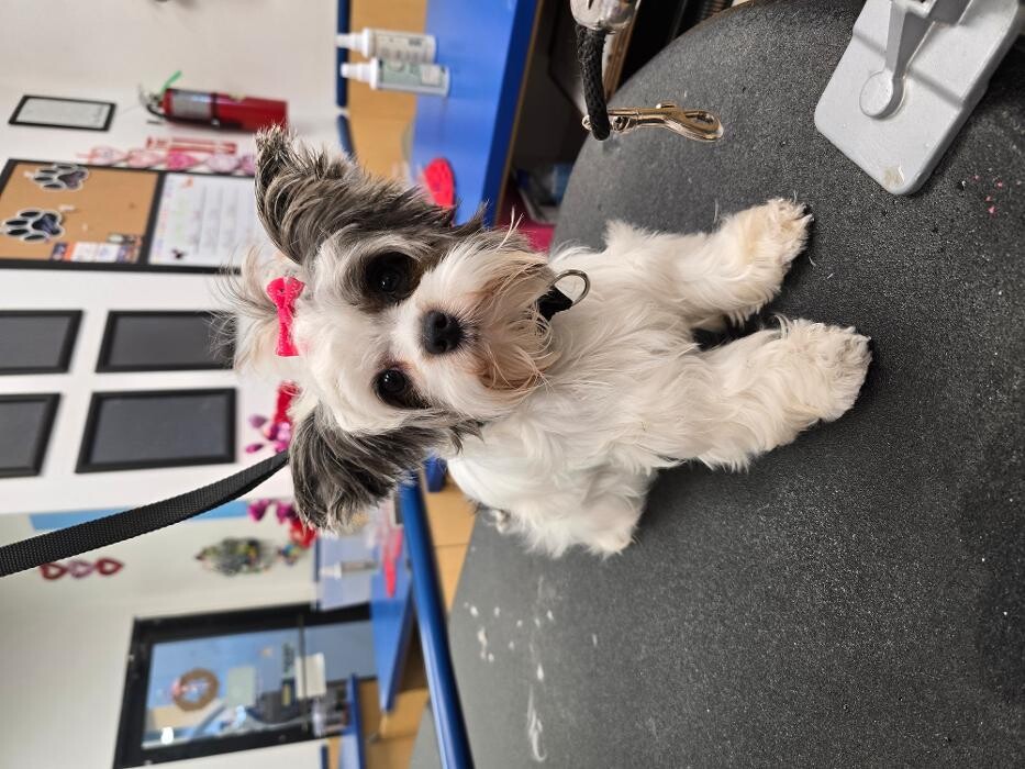 Images Petsense by Tractor Supply