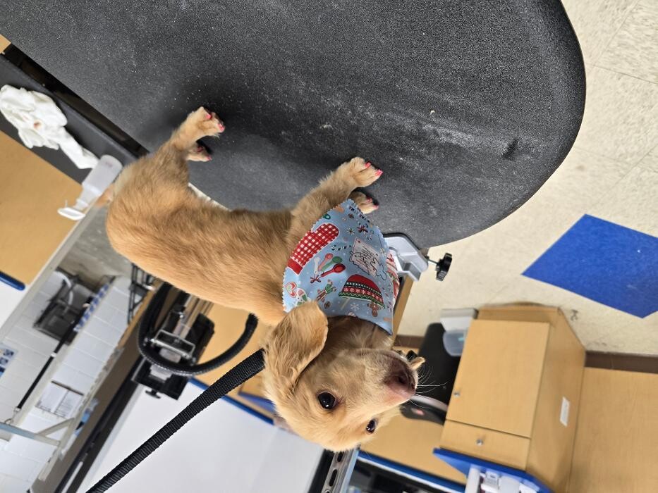 Images Petsense by Tractor Supply