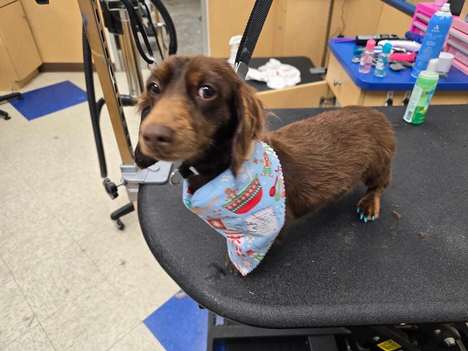 Images Petsense by Tractor Supply