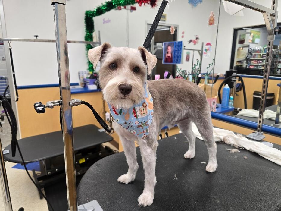 Images Petsense by Tractor Supply