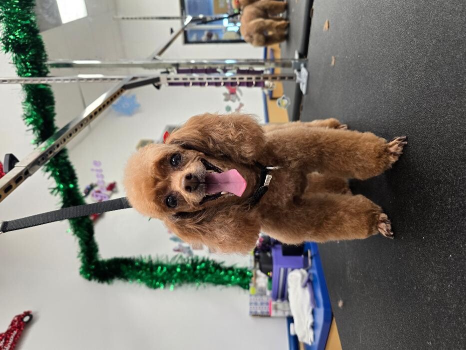 Images Petsense by Tractor Supply