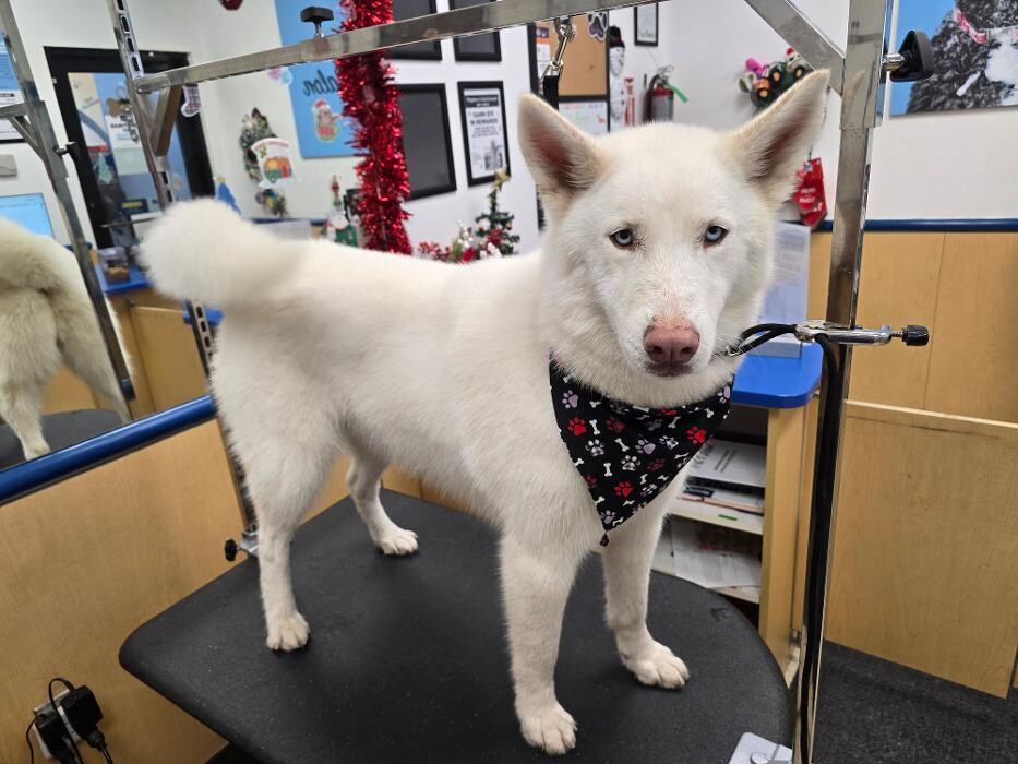 Images Petsense by Tractor Supply