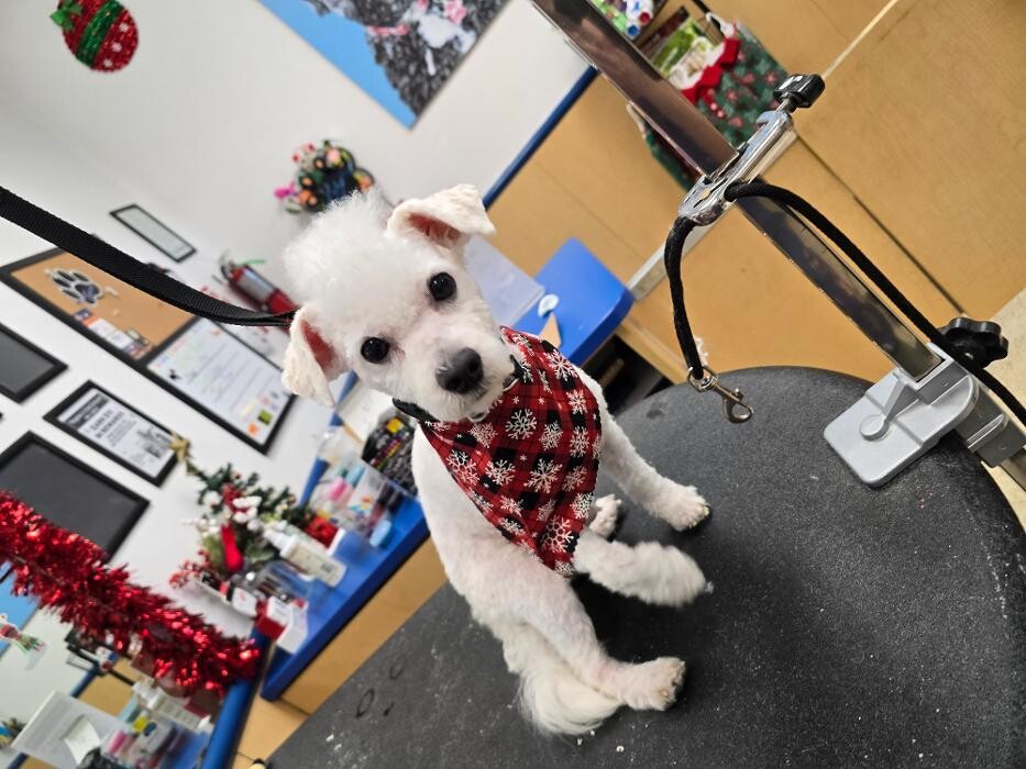 Images Petsense by Tractor Supply