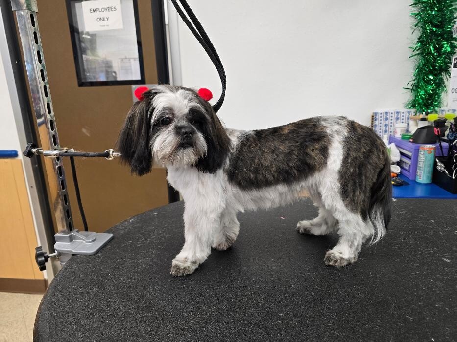 Images Petsense by Tractor Supply