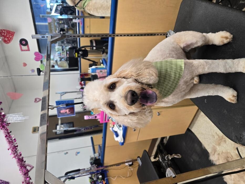 Images Petsense by Tractor Supply