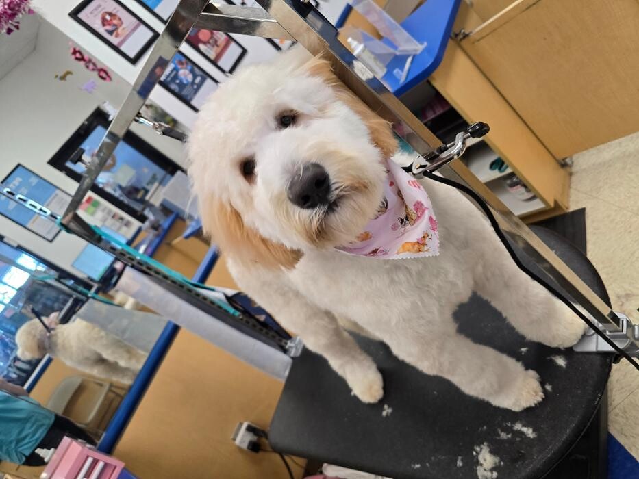 Images Petsense by Tractor Supply