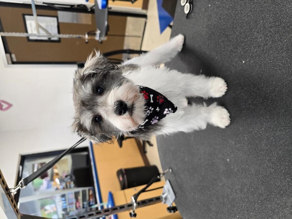 Images Petsense by Tractor Supply