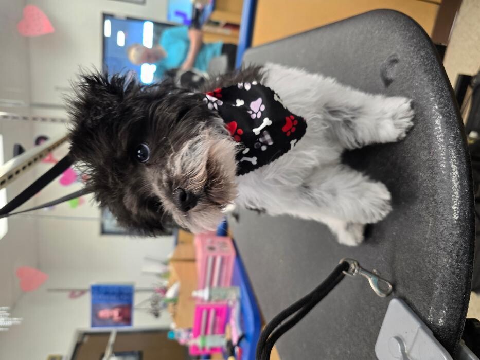 Images Petsense by Tractor Supply