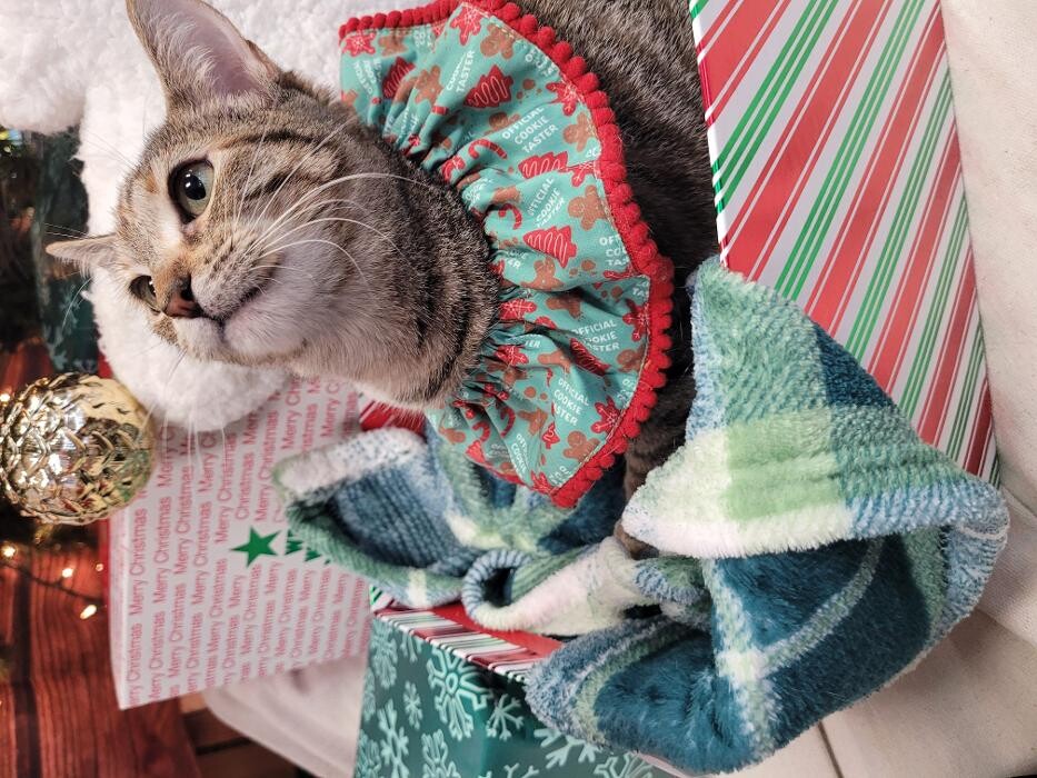 Images Petsense by Tractor Supply