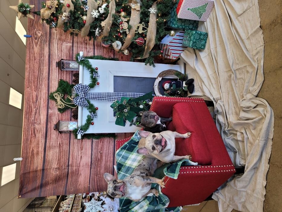 Images Petsense by Tractor Supply
