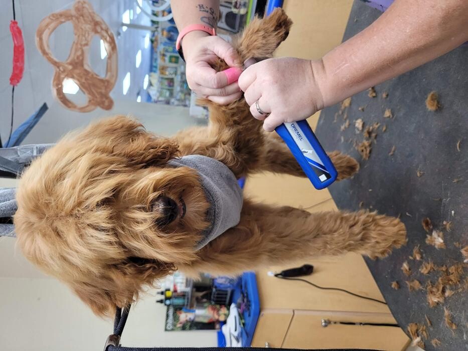 Images Petsense by Tractor Supply