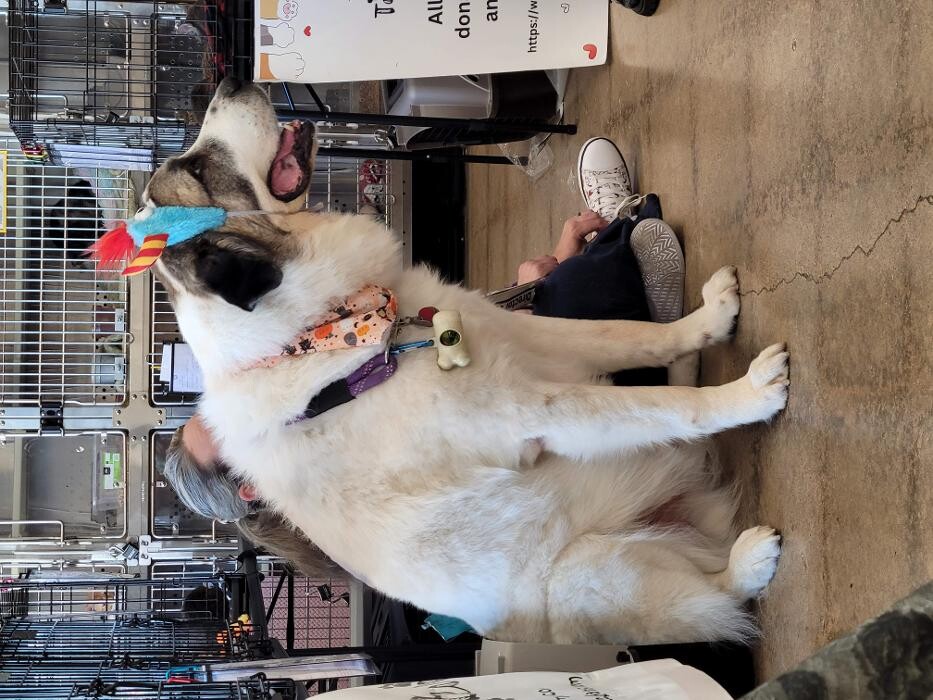 Images Petsense by Tractor Supply
