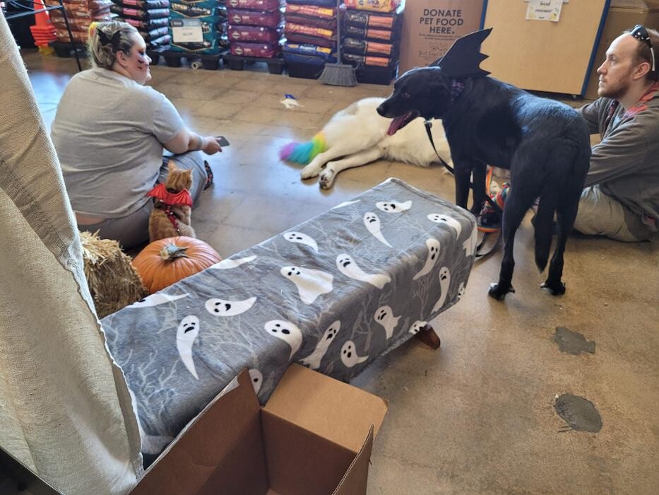 Images Petsense by Tractor Supply
