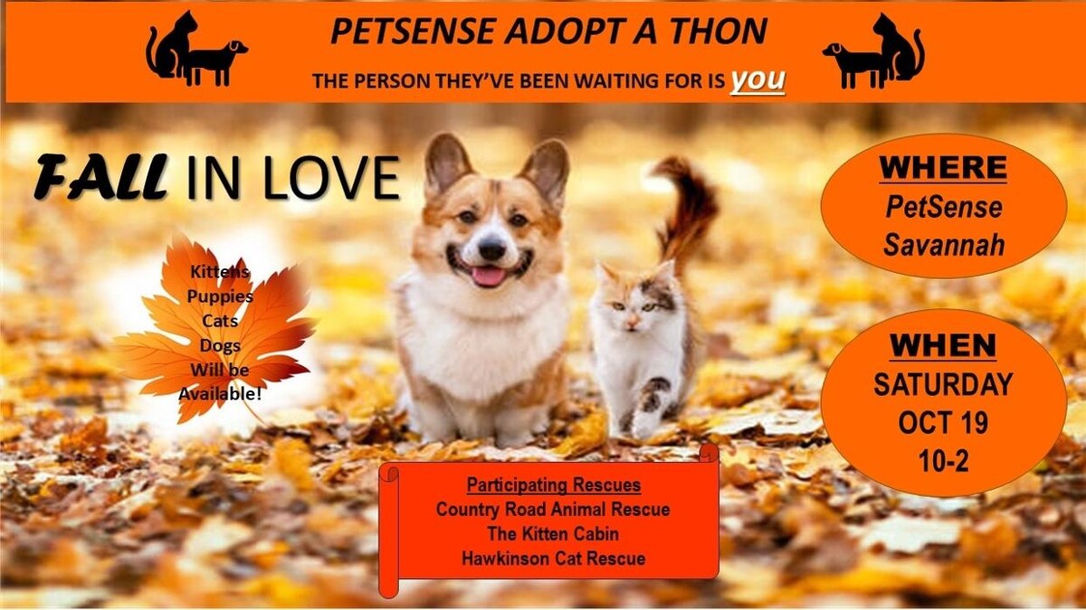 Images Petsense by Tractor Supply