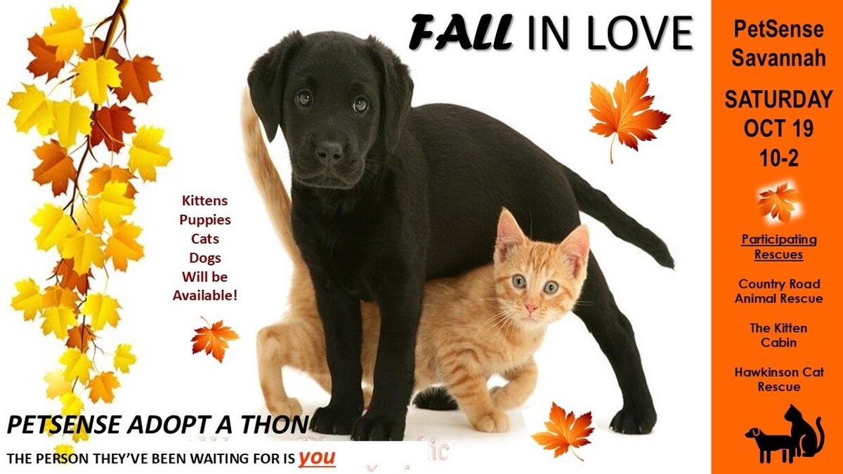 Images Petsense by Tractor Supply