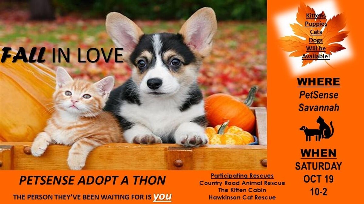 Images Petsense by Tractor Supply