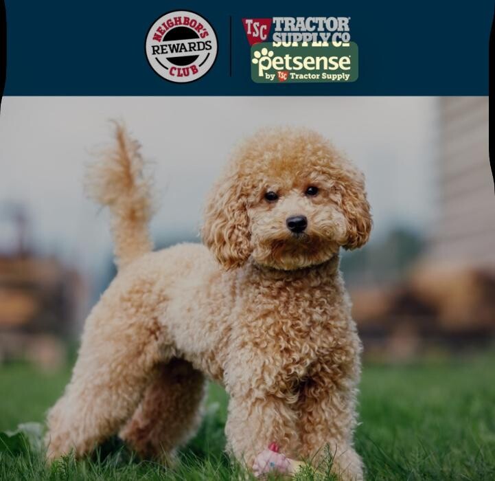 Images Petsense by Tractor Supply