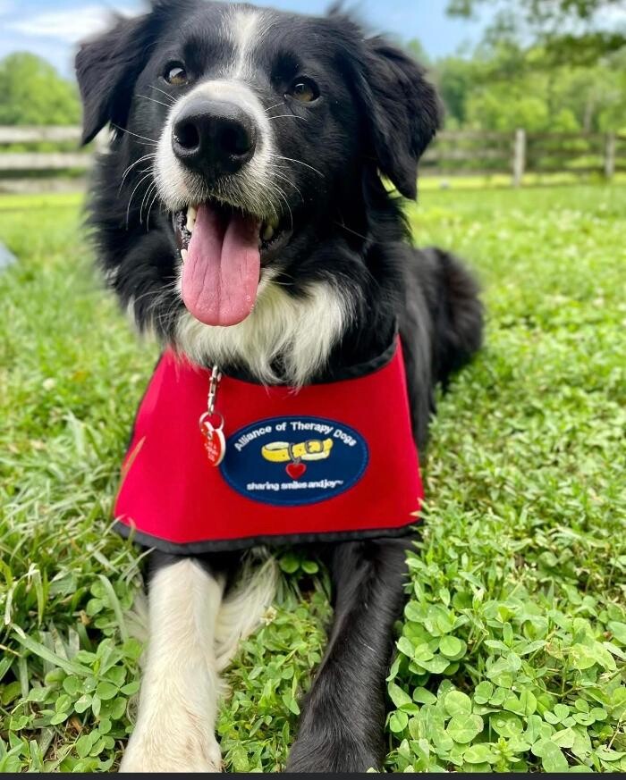Images Petsense by Tractor Supply