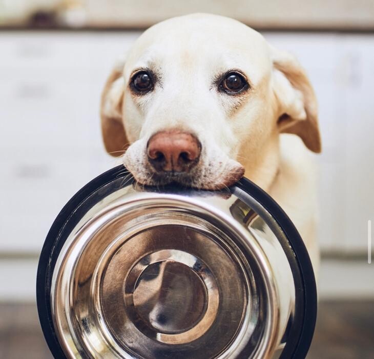 Images Petsense by Tractor Supply