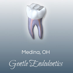 Nivine Y El-Refai, BDS, DDS, MSD Inc Logo