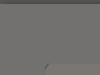 Website Screenshot Burger King