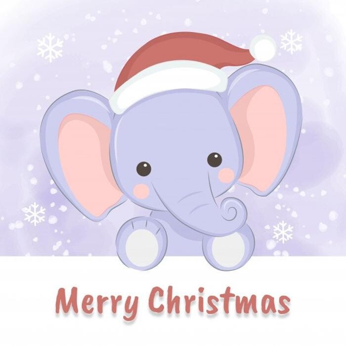 Images Elle's Collections