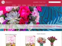 Website Screenshot A Beautiful Event Inc