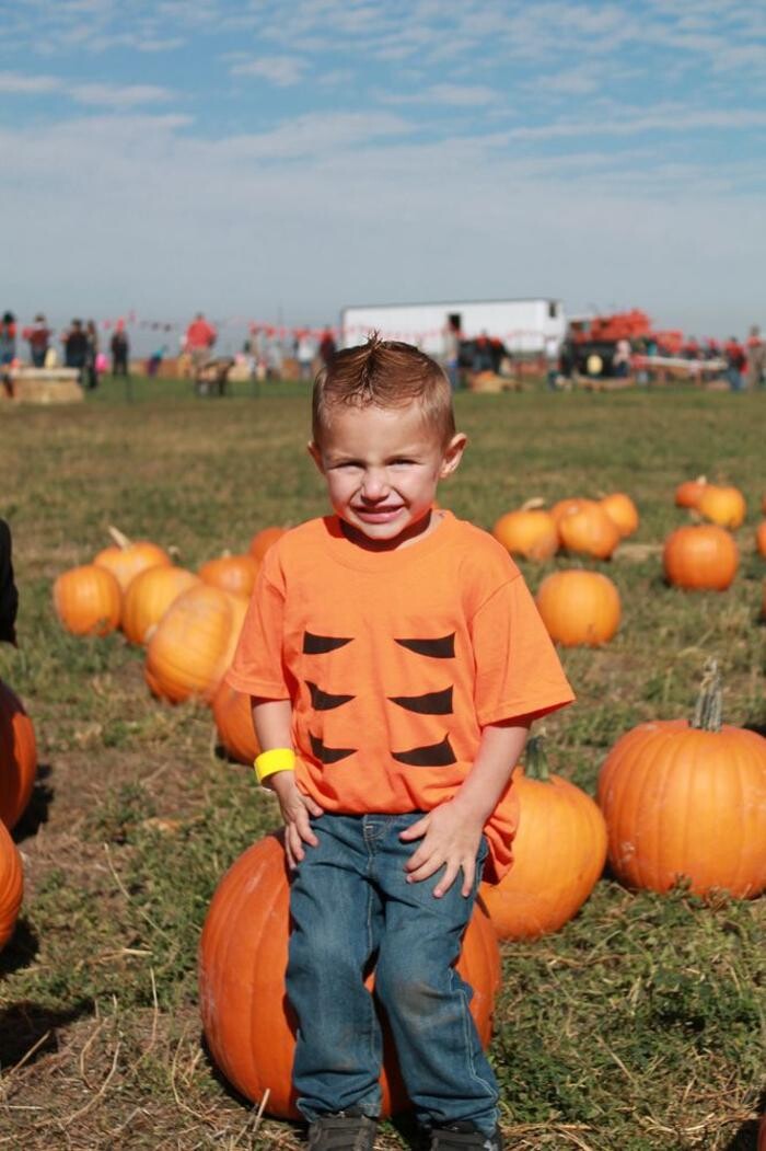 Images Little Tiger Academy