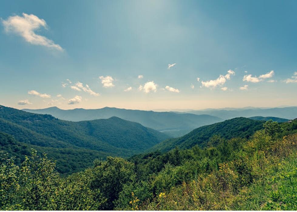 Images Jeanne Allen: Legend Realty