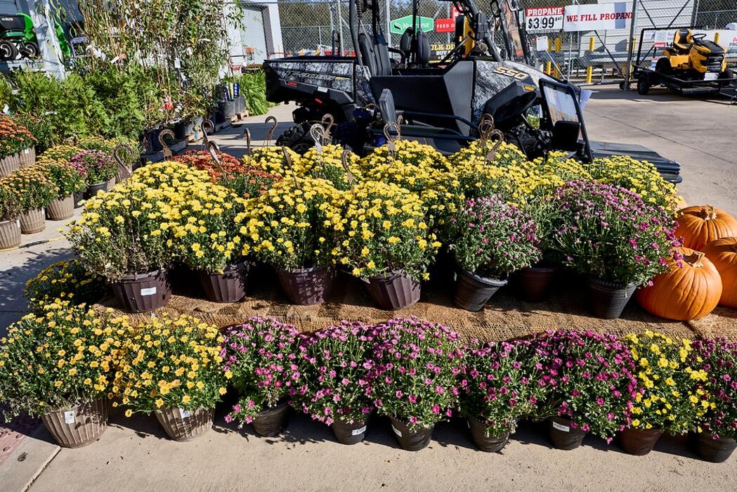 Images Tractor Supply Co.