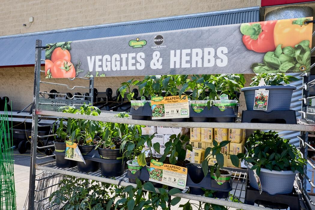 Images Tractor Supply Co.