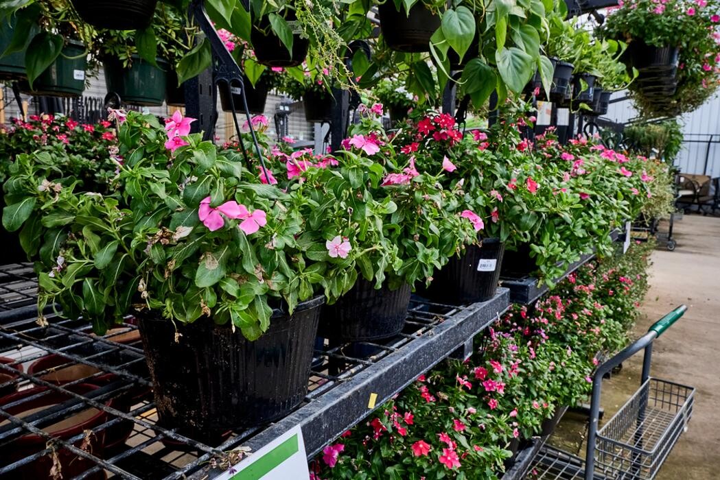 Images Tractor Supply Co.