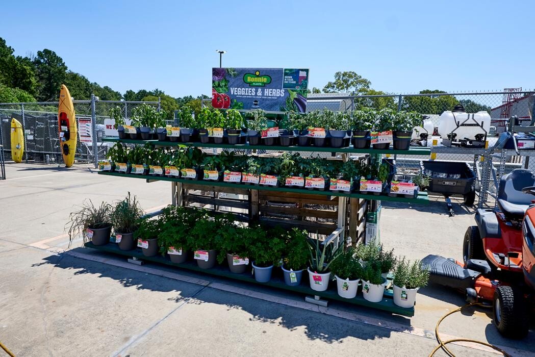 Images Tractor Supply Co.