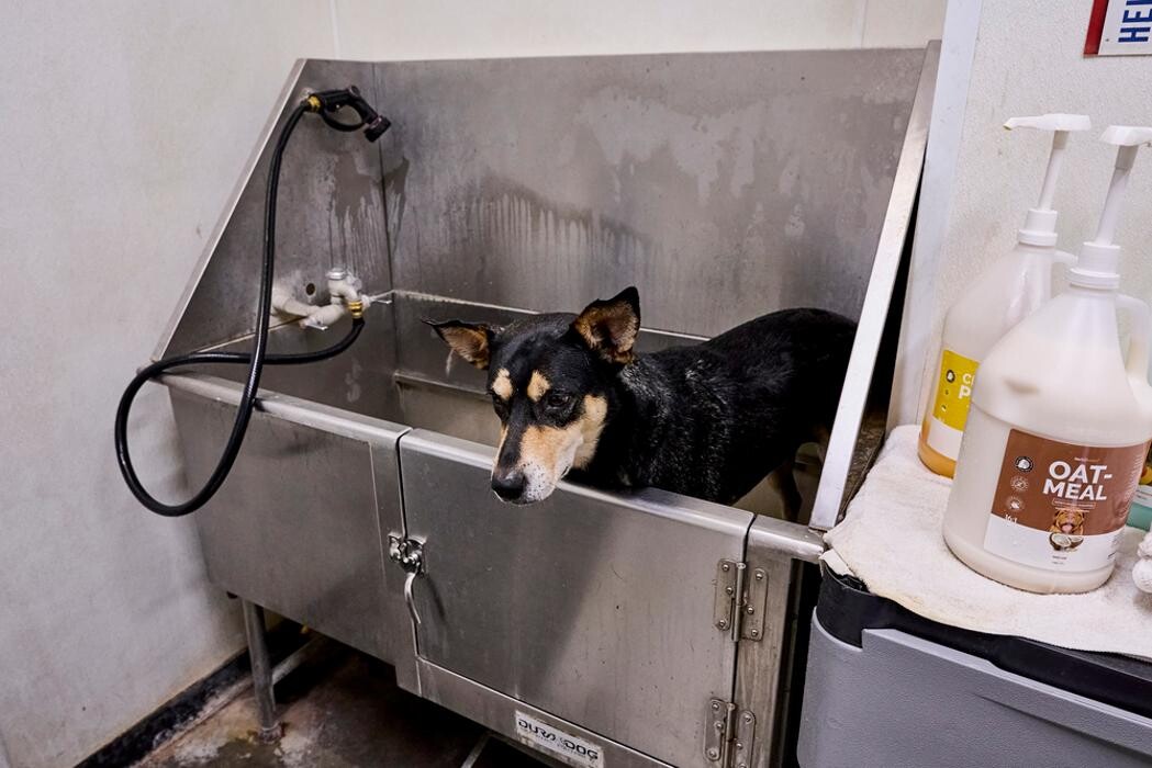 Images Tractor Supply Co.