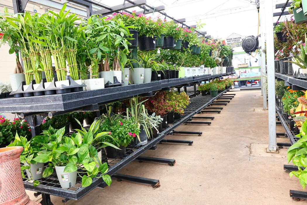 Images Tractor Supply Co.