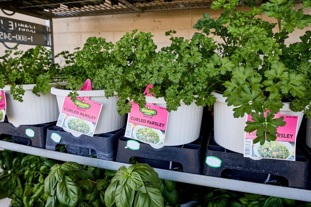 Images Tractor Supply Co.